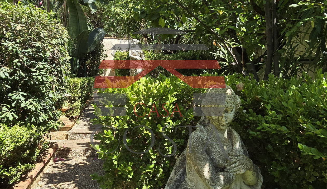 66